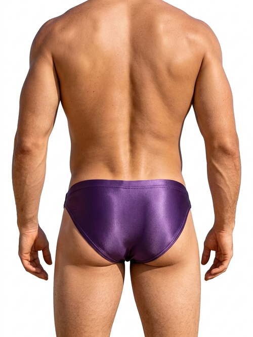 SilkTight Briefs